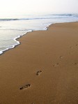 image of footprints on a beach  Creative Commons Attribution 2.5 License by Peter Shanks